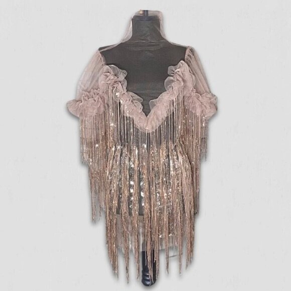 Bella Barnett Mini Dress Tassel Sequined Fringe Rose Pink Small - Picture 2 of 12